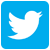 icono twitter